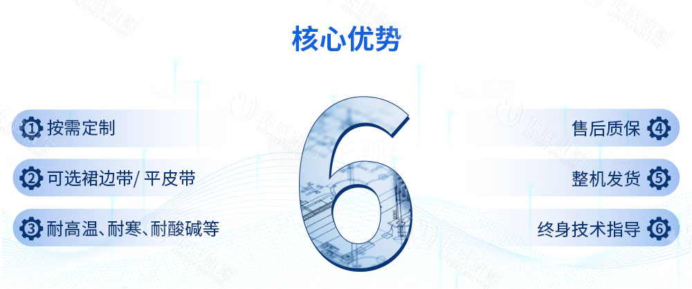 皮帶給料機特點優勢